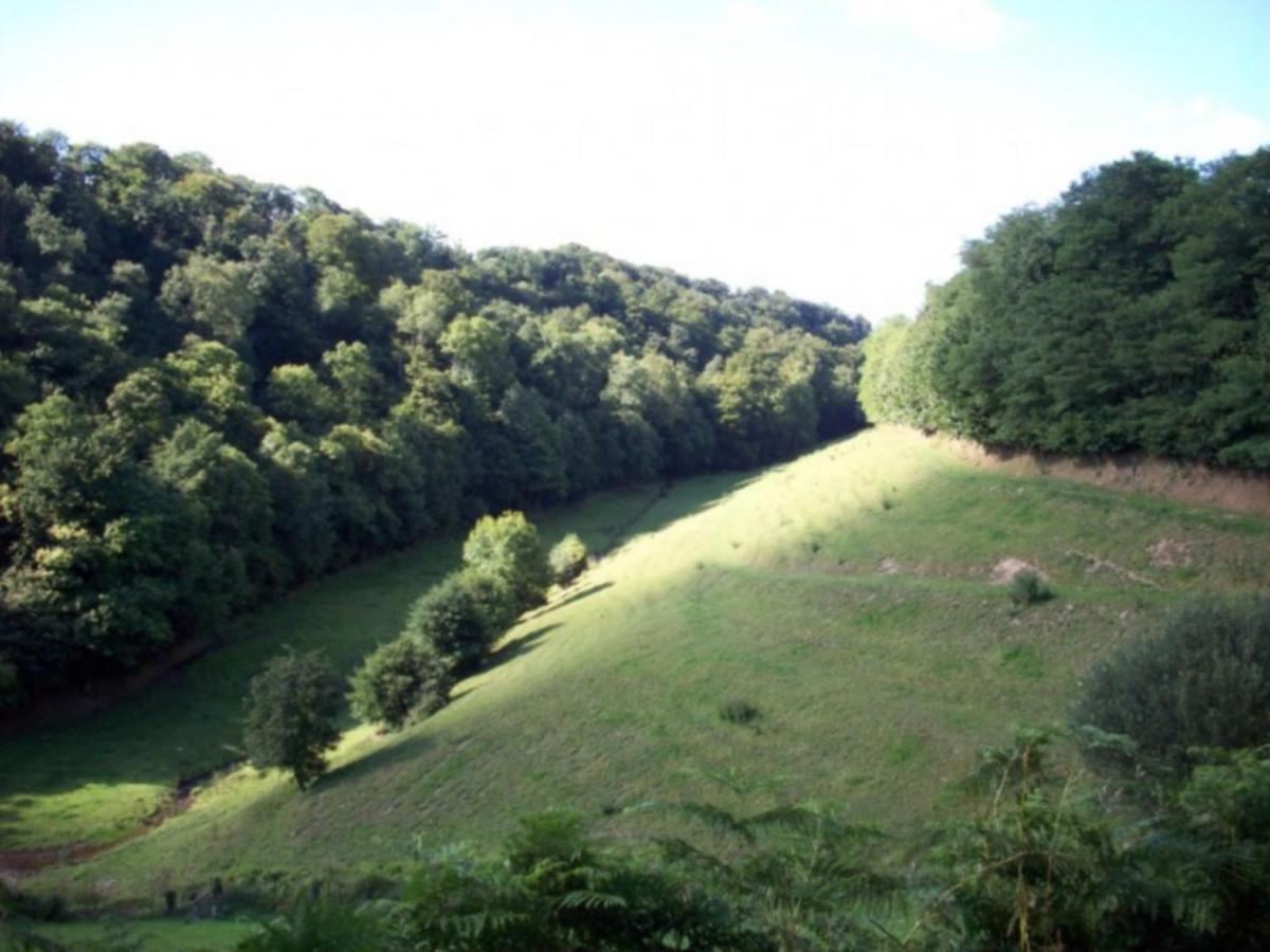 Cosy Chalet With Private Garden In Normandy Isigny-le-Buat Cameră foto